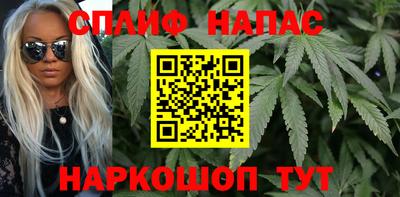 гидра Кинель