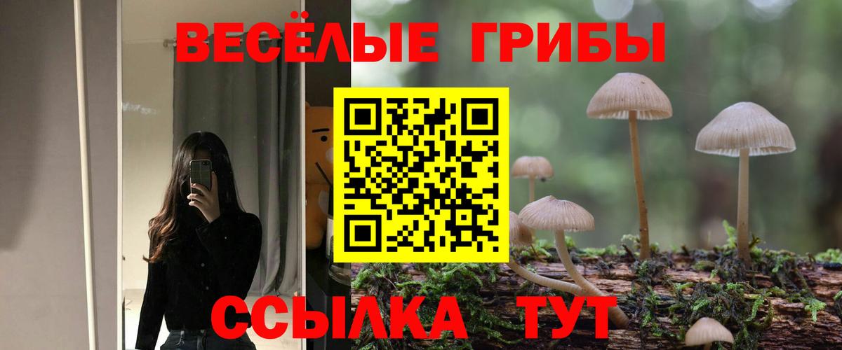 Галлюциногенные грибы GOLDEN TEACHER  Вход с VPN  Кузнецк 